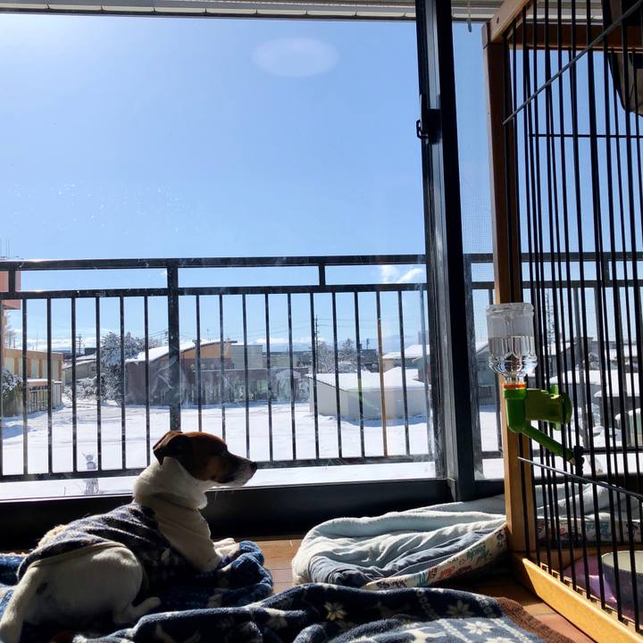 E1efc38f c1c1 4945 ba01 5e673a81deff 1585094967470