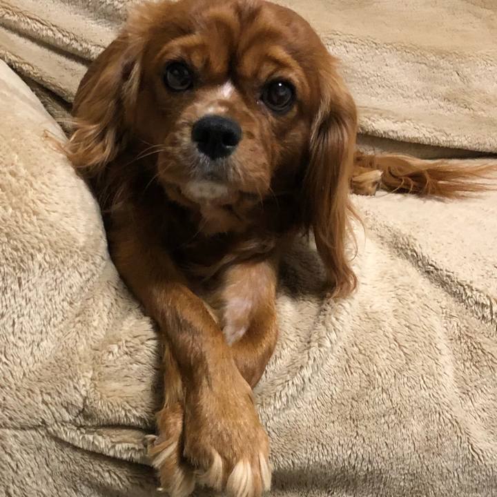 E1efca50 e1c0 4ce9 b049 fbfecc18c57c 1552303753784