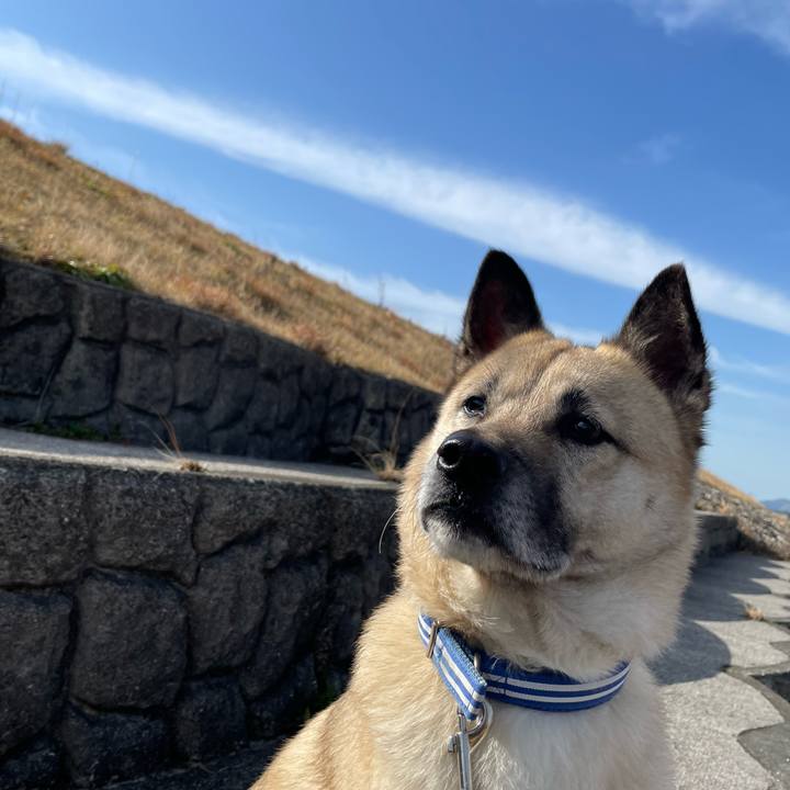 E1f00ccb 98cd 47b9 9a3c 844cb27f52bc 1676203997386