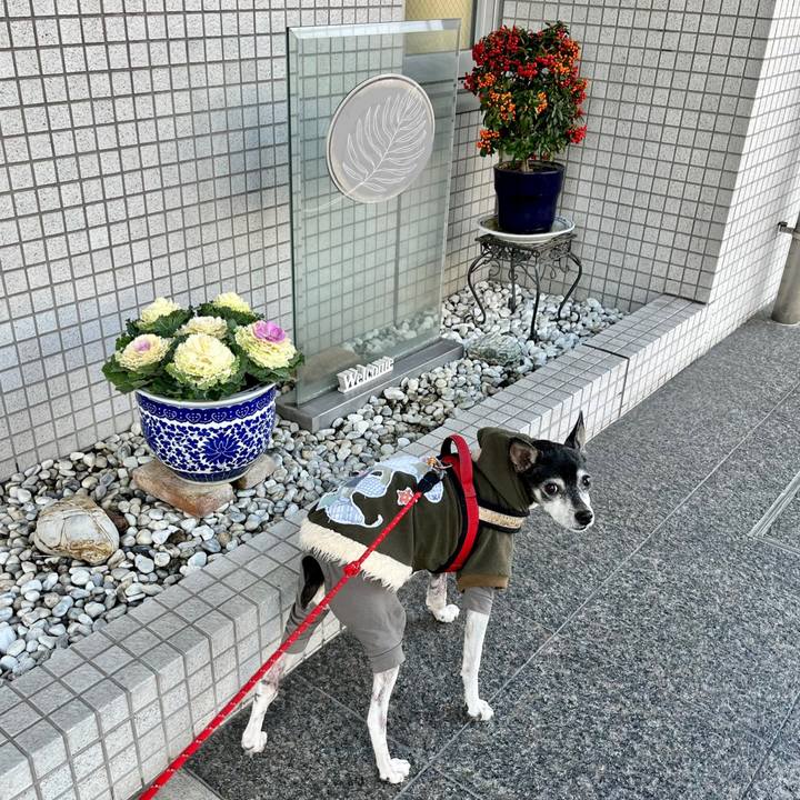 E1f0159c f6ef 44b4 a971 3a4549457972 1646523909979