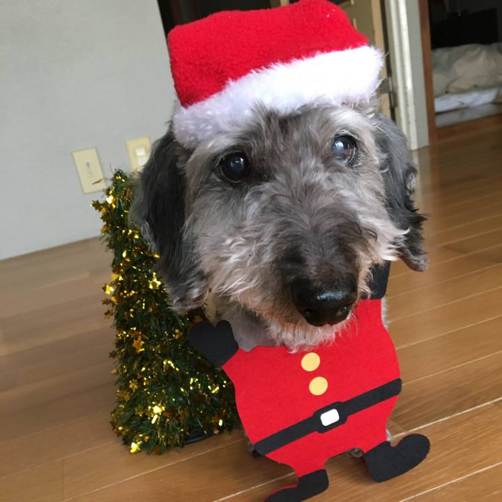 E1f025af aae4 44c9 9c2c b9873e572cf3 1703428664323