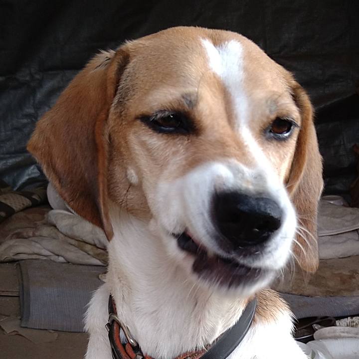 E1f03435 9647 48b8 ad3c 64bd14ae79d9 1664700698707