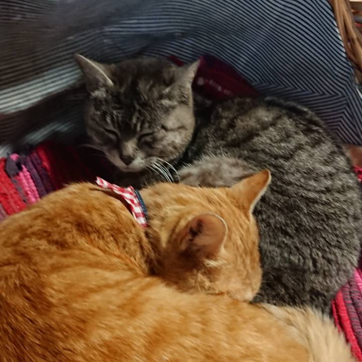 E1f03767 5b63 4913 85e2 f5af8fdcf4e0 1558514810430