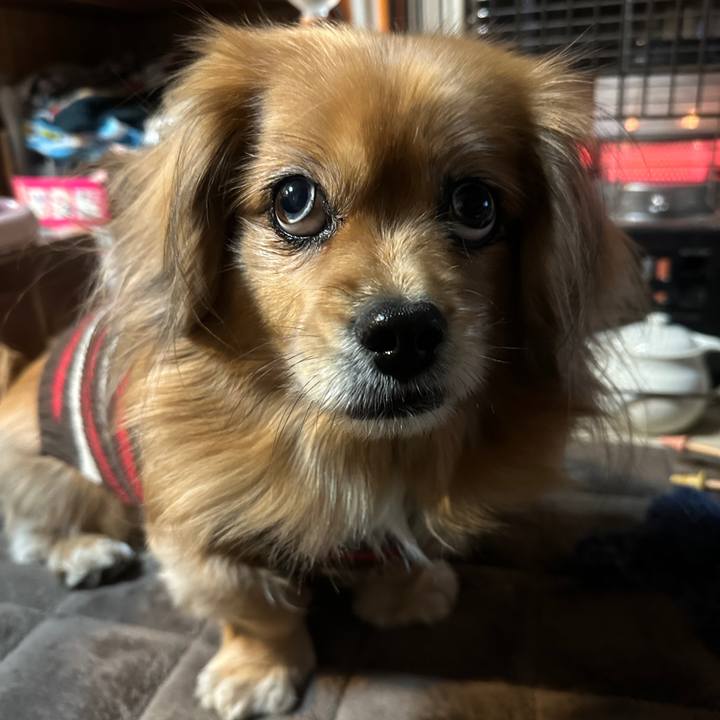 E1f09df5 955a 41f3 a82b ce0b0b0a876b 1737668225210