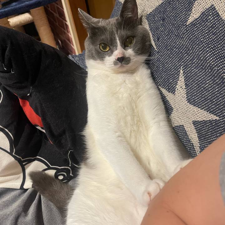 E1f0b66e a93a 4ed8 9180 bac444f8df8c 1651057680344