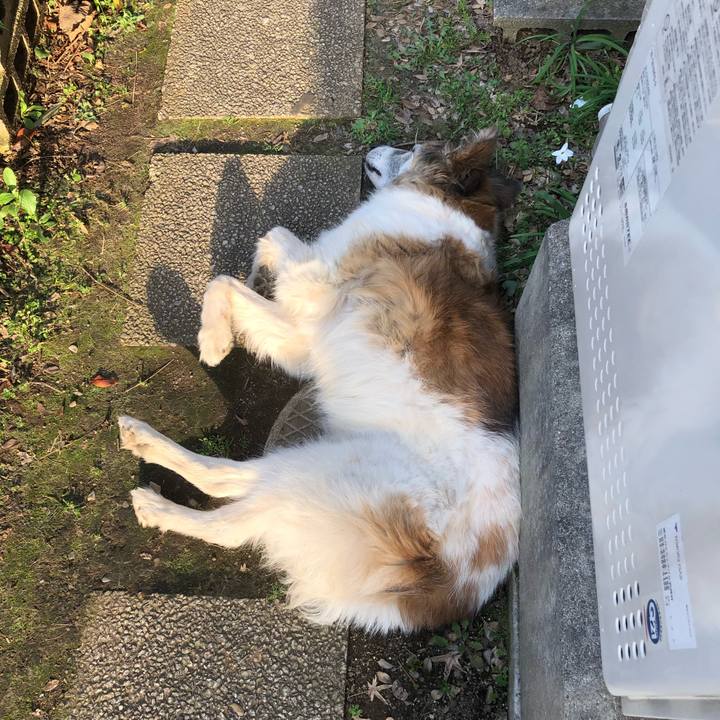 E1f0b922 4437 4e23 9c8a 589e09ca6ca9 1522308561315