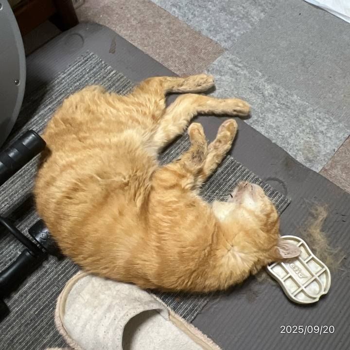 E1f0ce77 d2fa 470e b26d 3ba53cac6c77 1758410756988