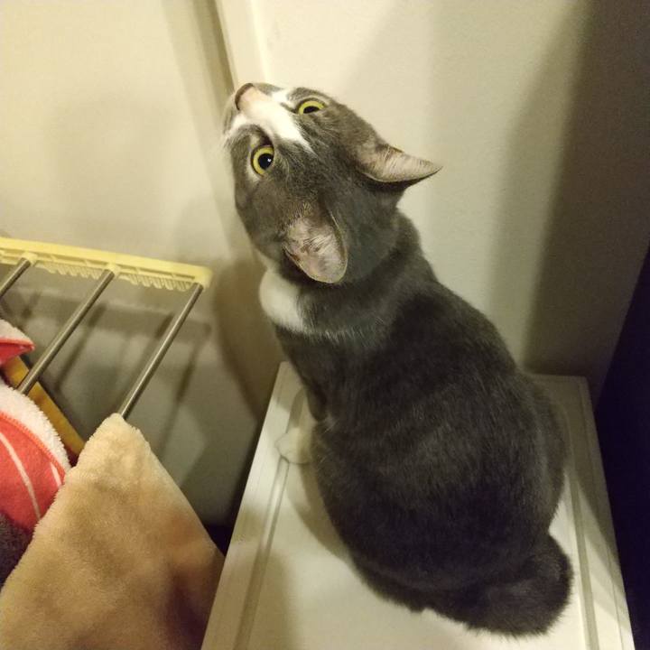 E1f0df9c 4153 47a1 baf5 9a1faaee5edb 1600003153856