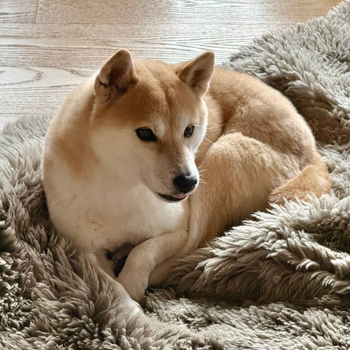 E1f0e147 f5d7 4163 a5ea a4da12edfe00 1774232065720