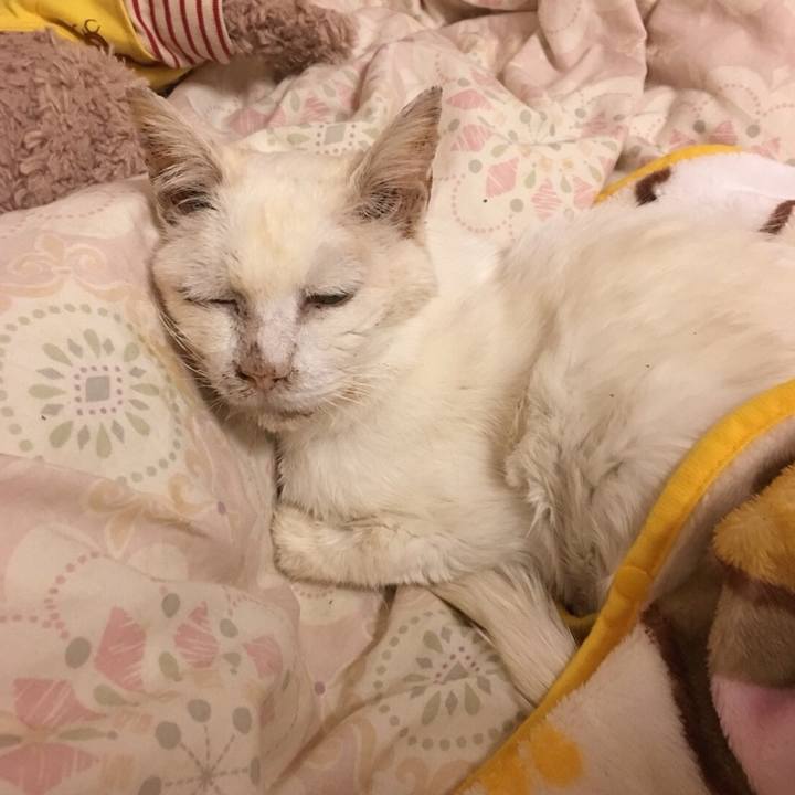 E1f0efc0 05e7 4039 82da fd65de0fb35c 1526866442734