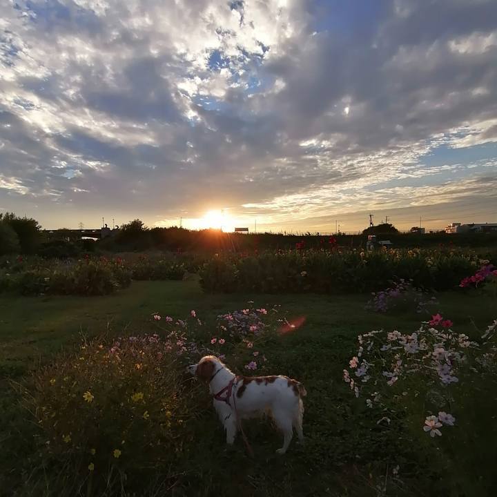 E1f120a3 5338 4319 b3d3 eb74c1026038 1603107926045