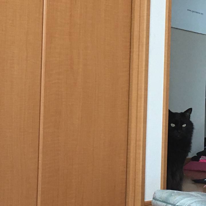 E1f12990 c8be 49d1 a008 75086ee678e0 1528512195071