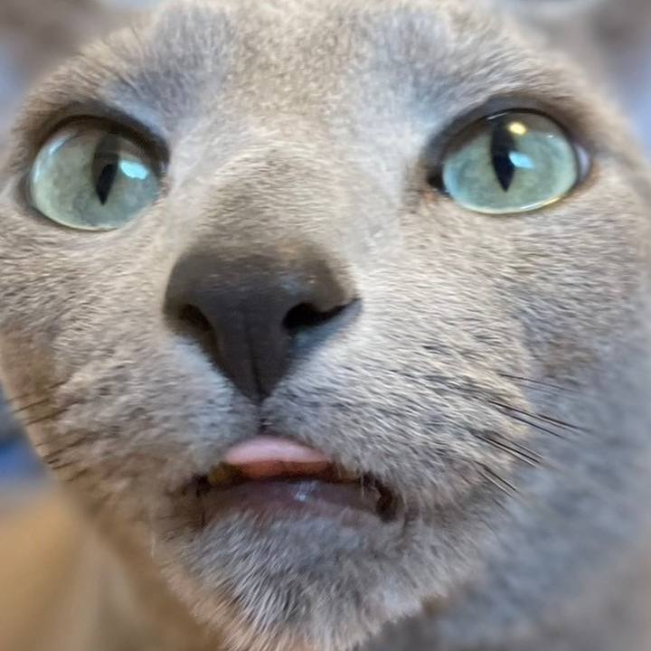 E1f15d4f 6200 481f 9355 0275a4222ce7 1736045713929