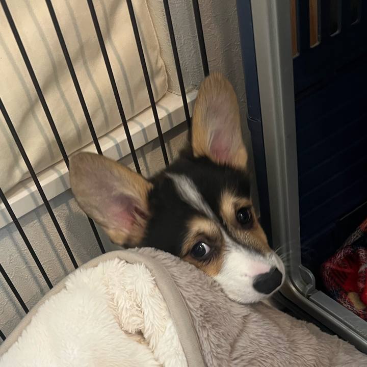 E1f19014 e648 46b2 a9f7 76b00c304657 1769563859944