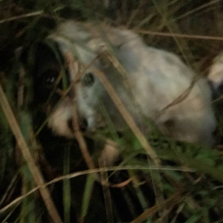 E1f19a2e 9bd6 4c38 820a a53a0f634940 1536761105182