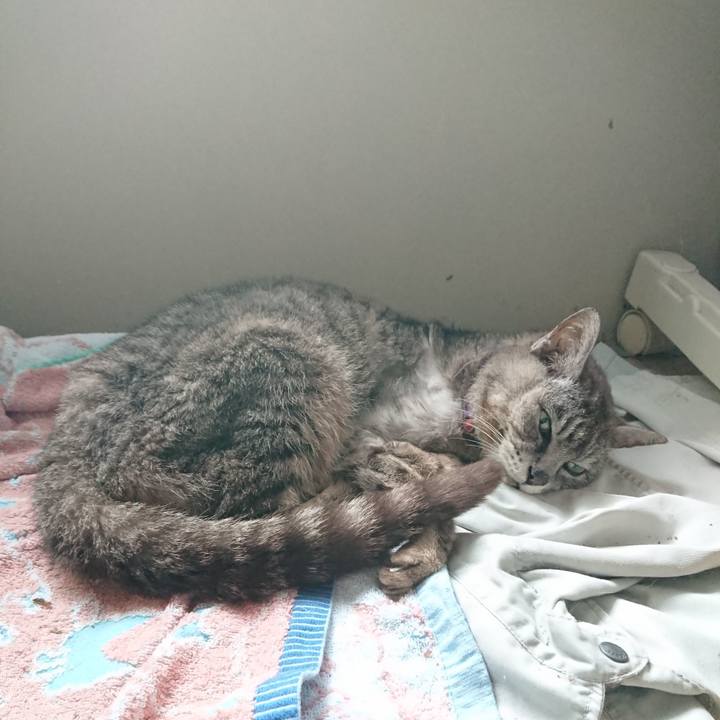 E1f1aa0f 7422 4afb a867 050db247131c 1596758379726