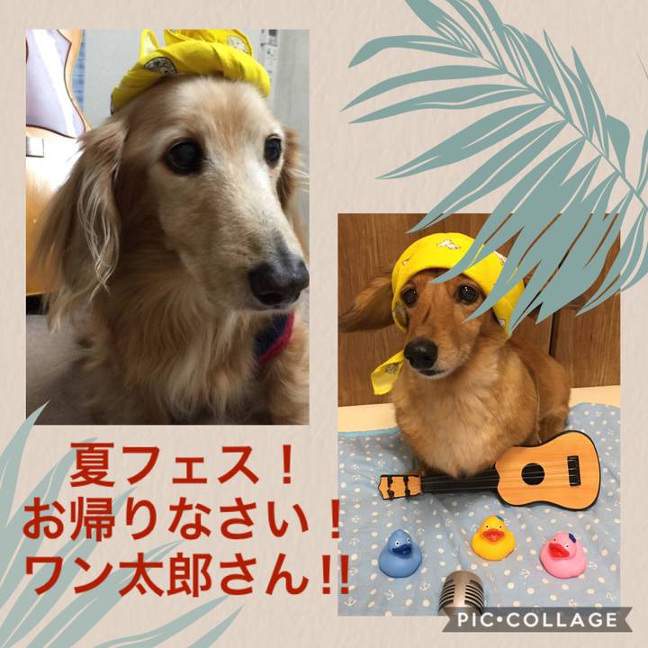 E1f1c491 1b10 44a7 9903 55b283319f66 1534052389144