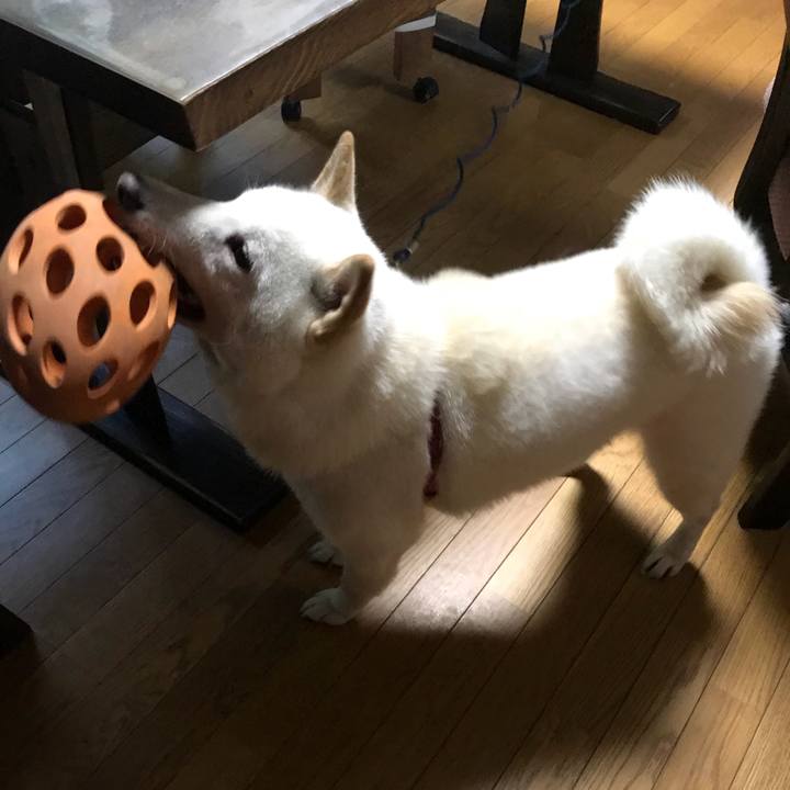 E1f1f98c 4dd7 4372 b781 39a2fb20b8a5 1534632134080