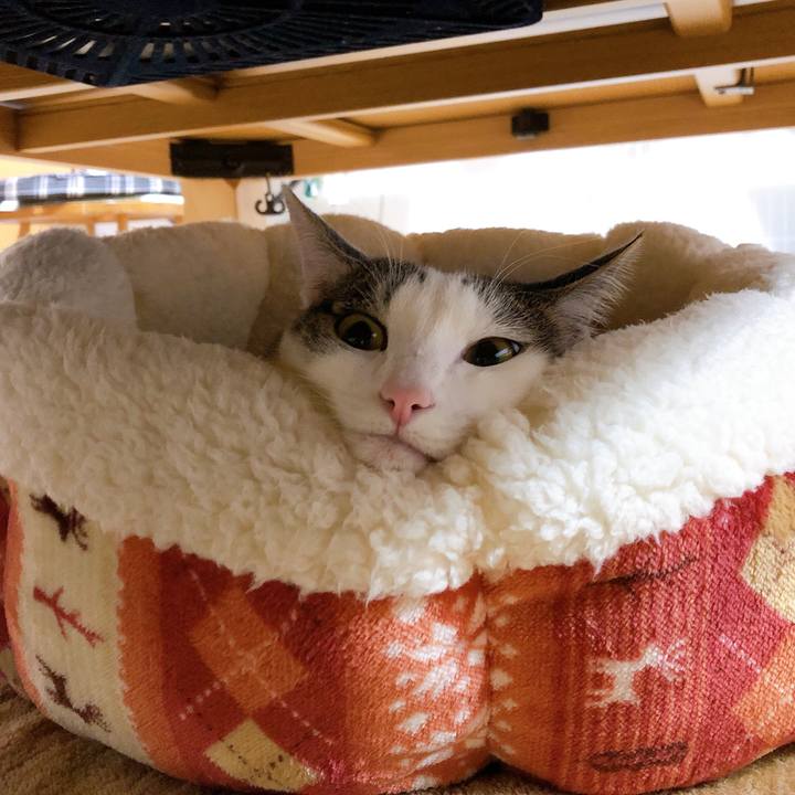 E1f21d6e ccb6 4dec b934 5497924fd191 1608896564153