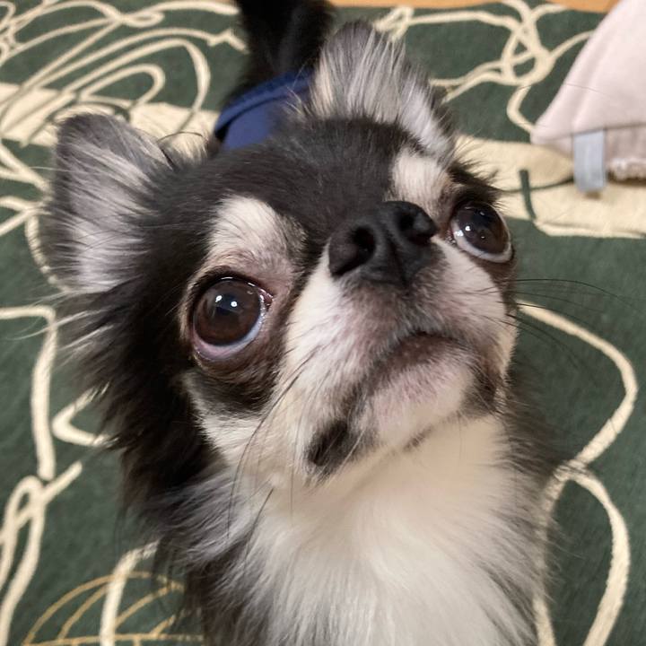 E1f233c0 dfc8 4fdd 8a00 912df7f583ae 1637502464327