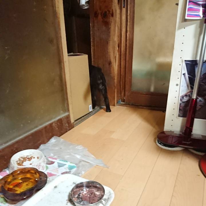 E1f24250 150a 4d37 902c db4798f66ff0 1627815131528