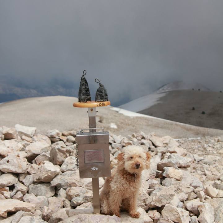 E1f250e3 9ce1 41bd a123 9de0eb72d629 1557068967170