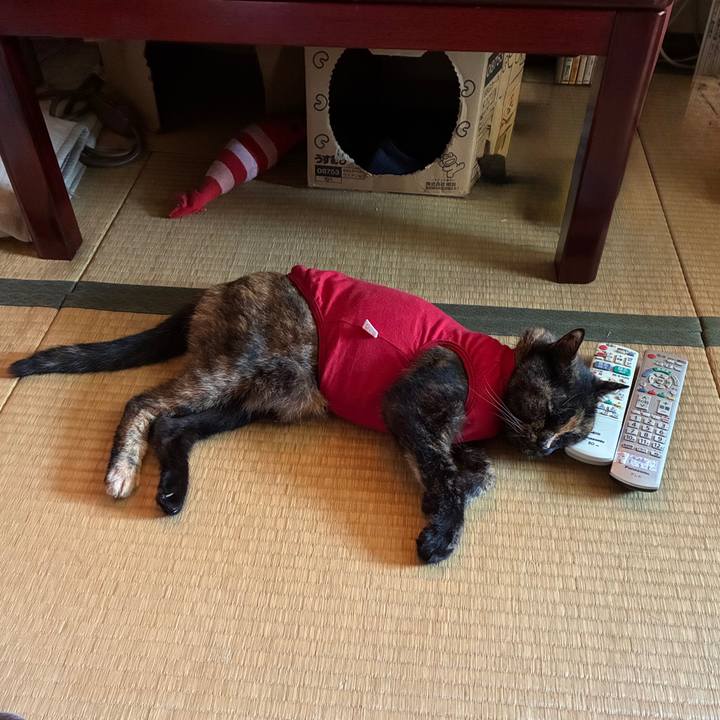 E1f26ac8 834f 4f04 a6db ea14f5035d47 1757124154977