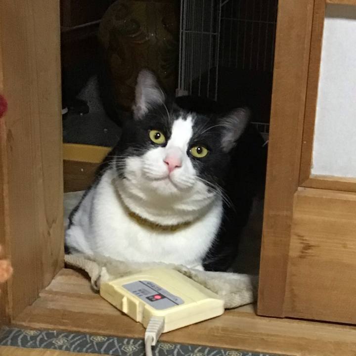 E1f27476 24b9 4f6d b885 dfa9d0d2dbae 1647771755559