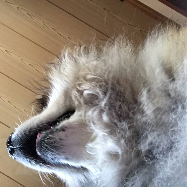 E1f29f63 d578 4dfc ae01 4315dd0432fe 1566836848928