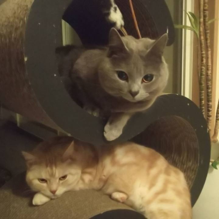 E1f2d07d c88d 4530 a4f6 1d27f866e66e 1557105655567