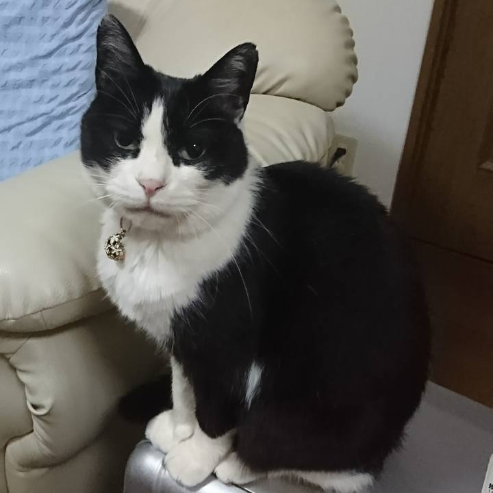 E1f2d272 4381 4315 b94b d58f4129b078 1582976804722