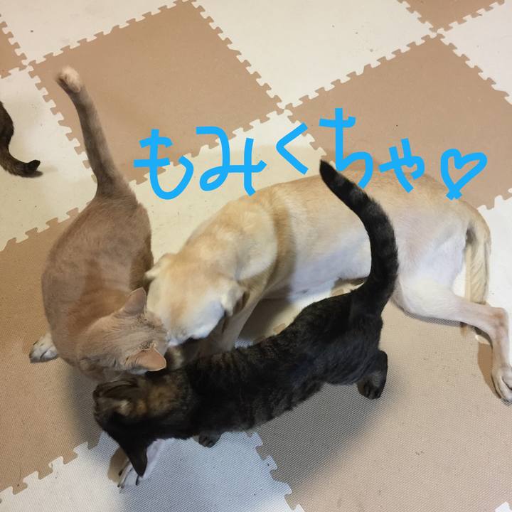 E1f302eb 9a16 4198 a0d6 f69cb1ec5ca9 1510105415801