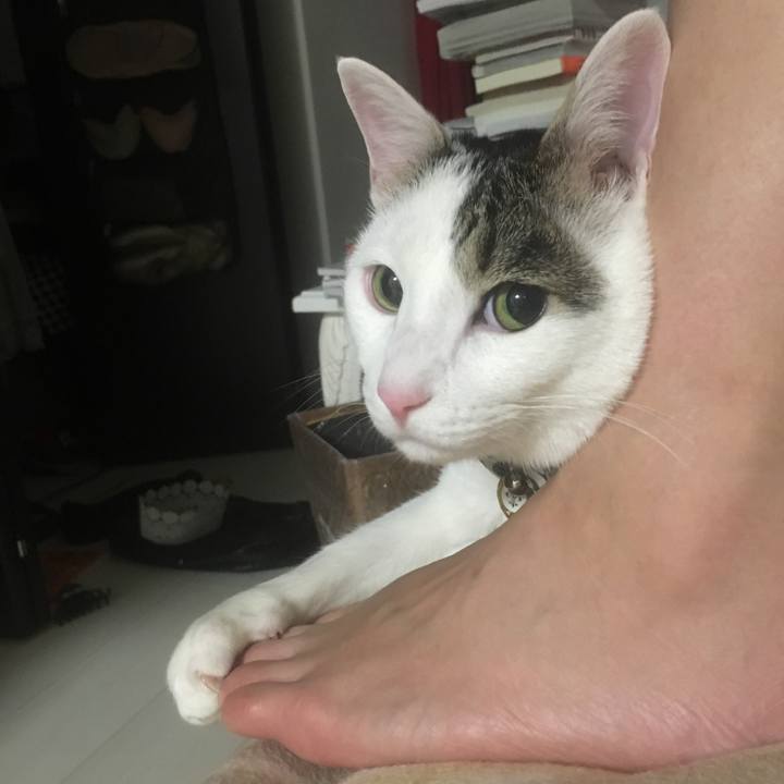 E1f30781 5d97 4bc0 8548 2d4ea867f62c 1519309658071