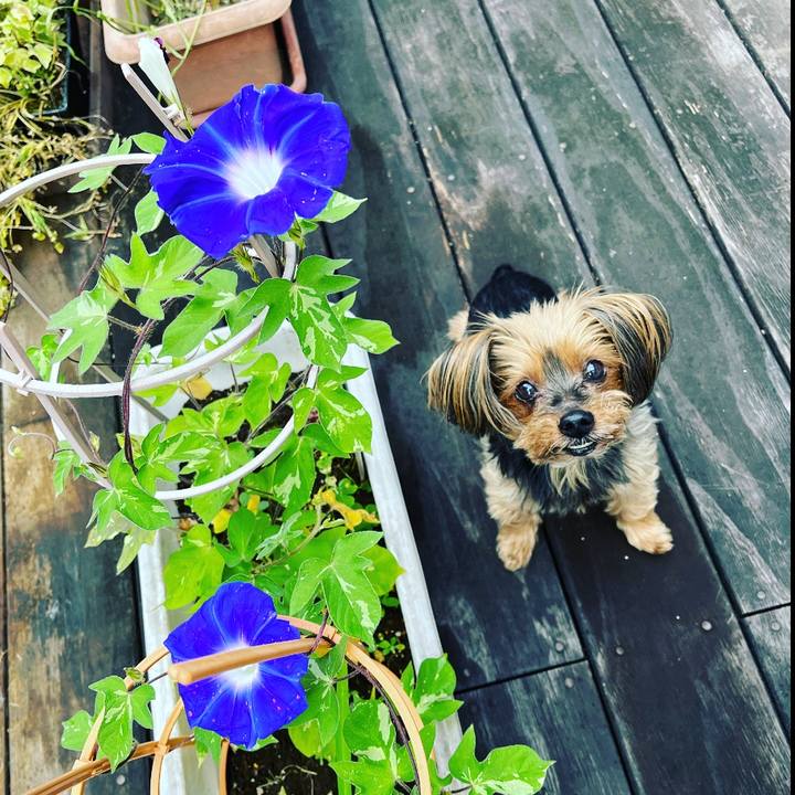 E1f3087a 751e 4cc7 a738 60fb508ad700 1689282925589