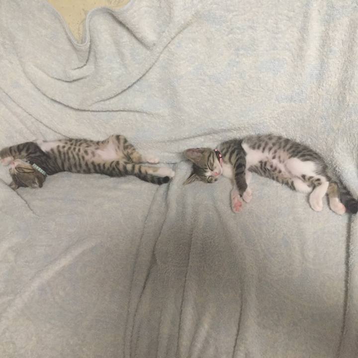 E1f311f8 e049 4178 b88f 291a44185dd1 1653675779739