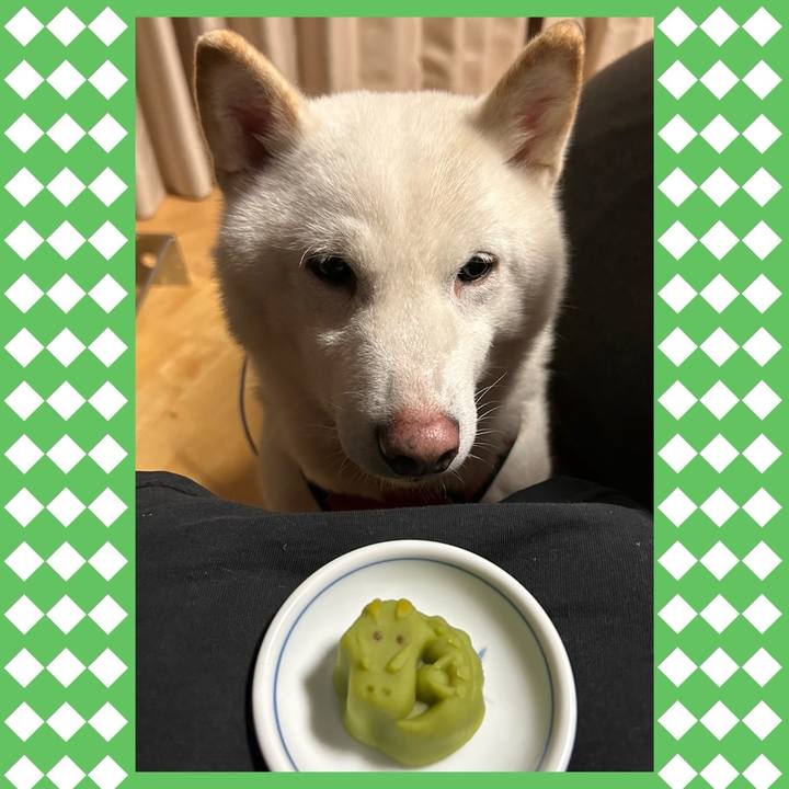 E1f31ade 2663 4814 b5f8 13997123316a 1704359702054