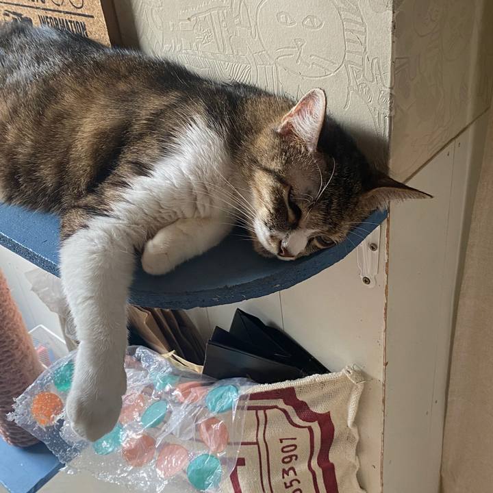 E1f345bc 6b6d 41d1 ab38 abdbc4f3bb02 1598328768201