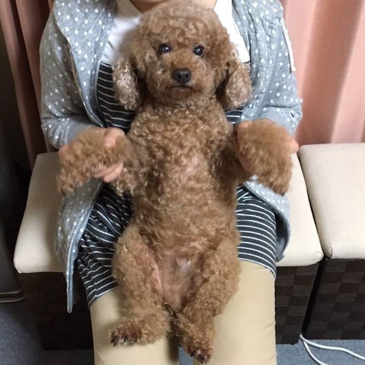 E1f34a3b cdbb 4c36 a44a 0cda39af676f 1553785959858