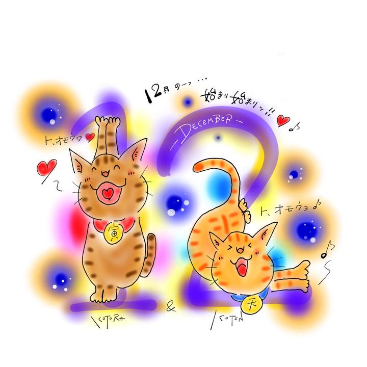 E1f34e72 76d8 4d2b bc5e 1ac1ea898708 1638313430581