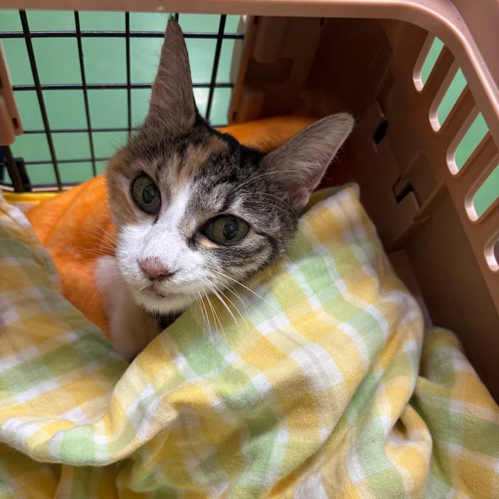 E1f374ff a666 47c7 a0f8 b8f17ca8bc26 1764004774879