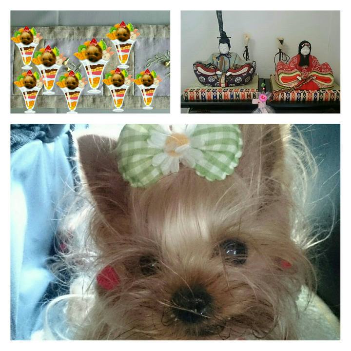 E1f38ac0 b50d 4503 87a0 3c2741be58ad 1519998107570