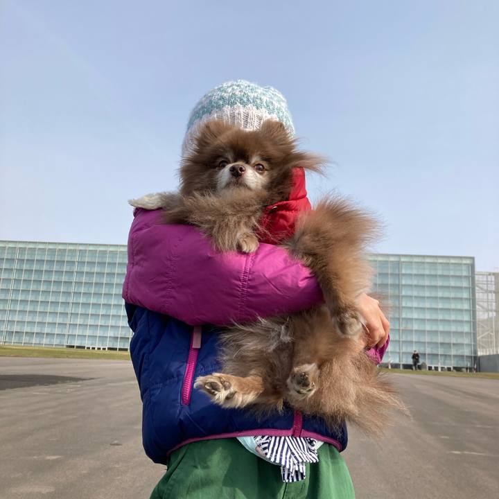 E1f39eda 06c8 4628 9d93 0e5a3b84c3f3 1678606033073