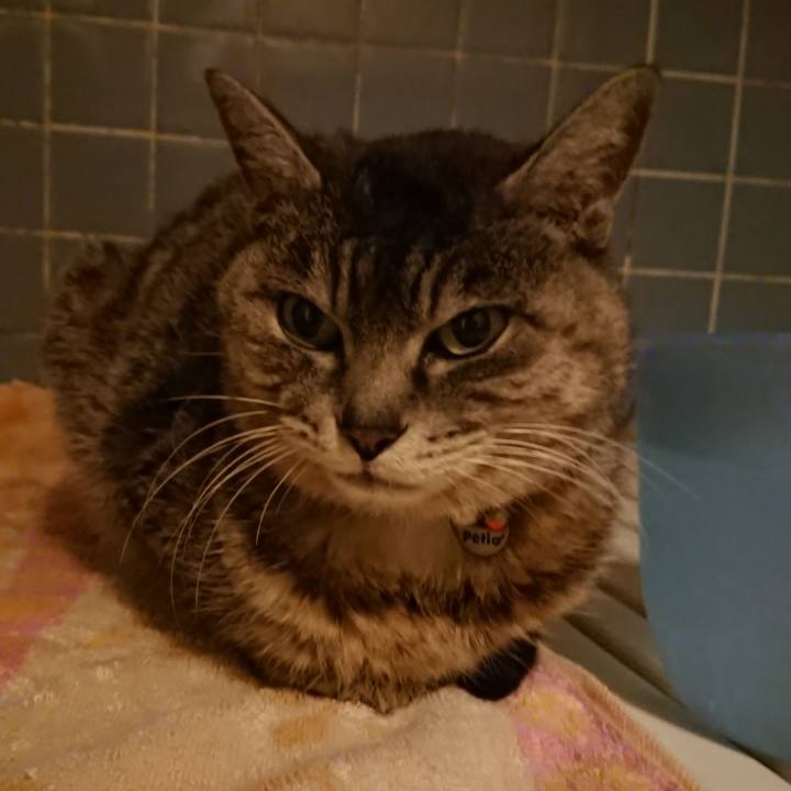 E1f3ce17 afb3 4138 95a5 5ca478bc0653 1585216401455