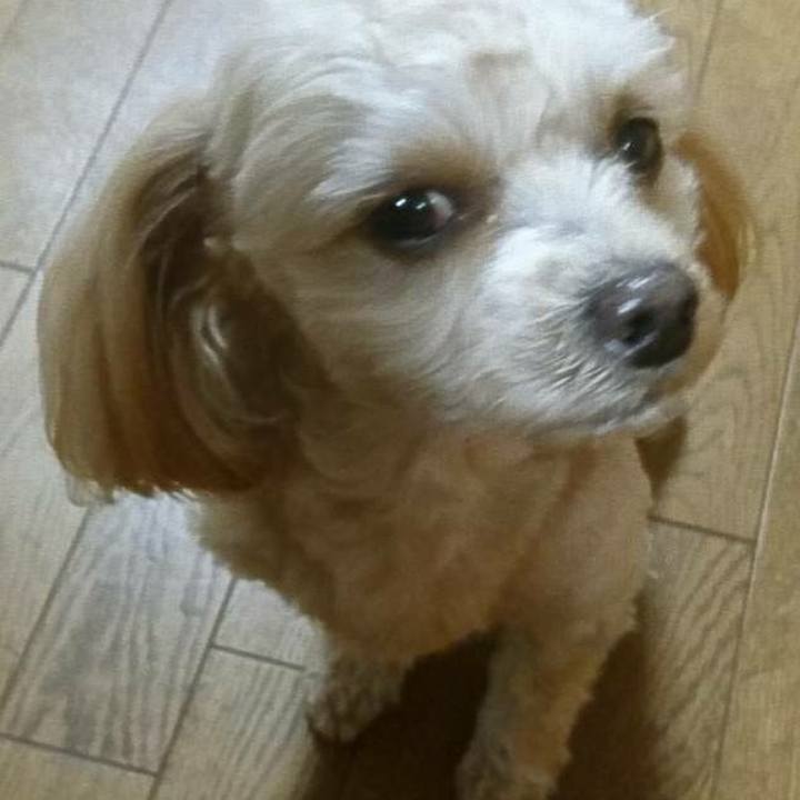 E1f42955 171b 4d52 9e98 dcd5ecc27256 1517760594844