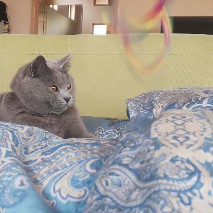 E1f48d01 262e 4407 b33d bf892b5c4e32 1554095674949