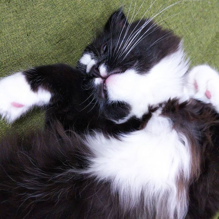 E1f4a996 6a35 4040 a843 1cab1cfd09c7 1642939594620