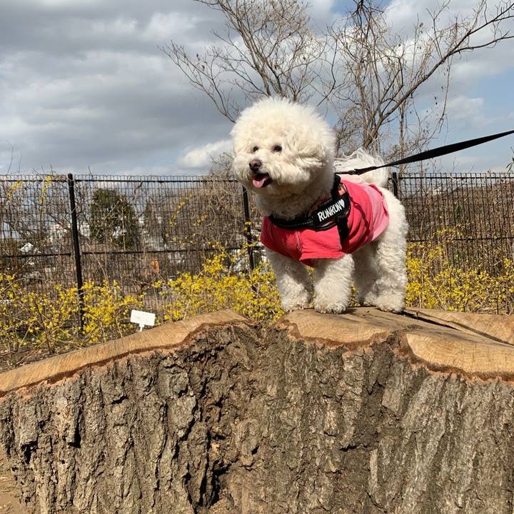 E1f4acc4 3841 45df ac26 3ce46f15d835 1647427895168