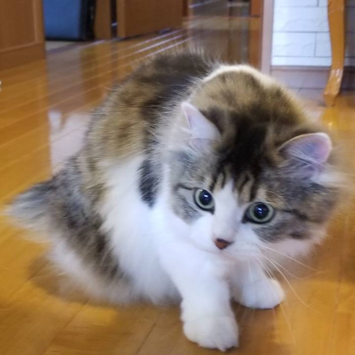 E1f4b197 8b9b 423b a20c 760aa930a061 1592988729027