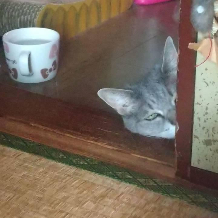 E1f5226a 72cf 4b9e 924e 42c7286feb91 1658884343657