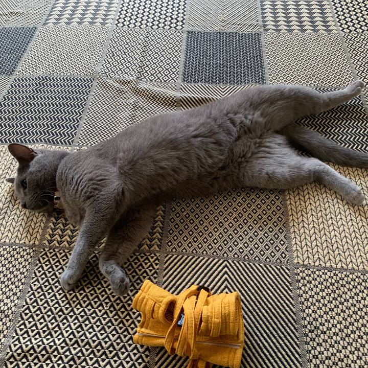 E1f5302e bc9f 4296 a300 7ab995b1daeb 1597032892963